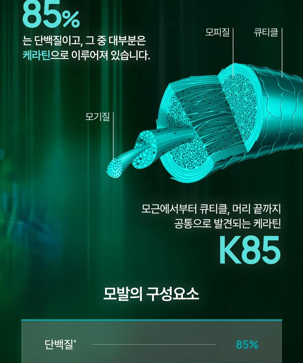 [NEW][모발 영양 케어] 르네휘테르 트리파직 K85 프로폴리스 모발 강화 앰플 100ml 상세페이지 7